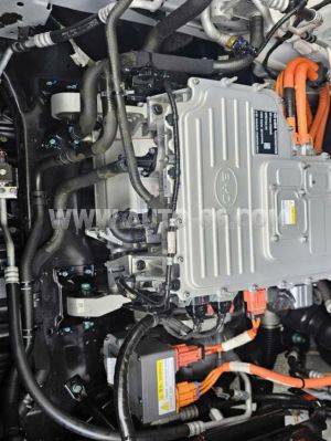 Xe BYD M6 Standard 2025