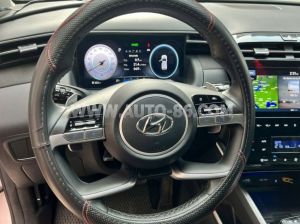 Xe Hyundai Tucson 2.0 AT CRDi Đặc biệt 2024
